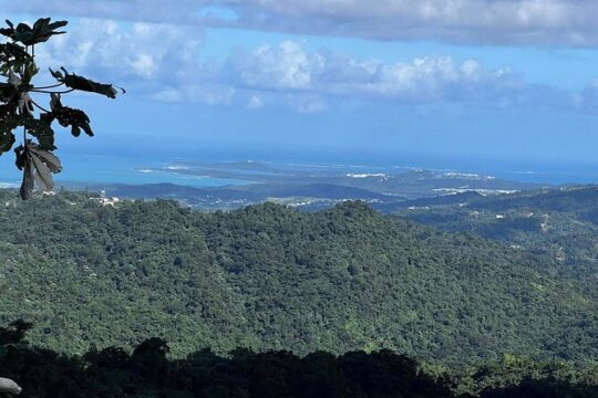 Private Guided Tour in Puerto Rico