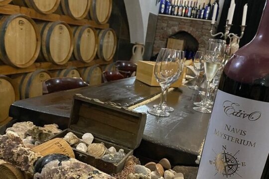 Wine and Food Daily Tour