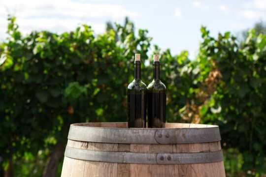Pompei Ruins & Wine Tasting from Rome