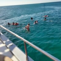 Day Cruises