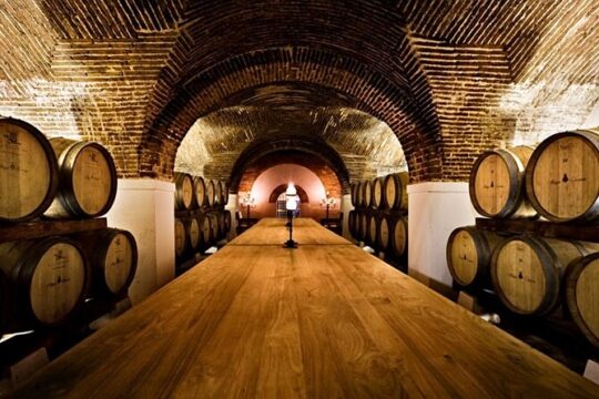 Private Full Day Evora & Alentejo Wine Tour from Lisbon
