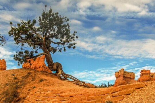 Private Tour Colorado Plateau from Sedona
