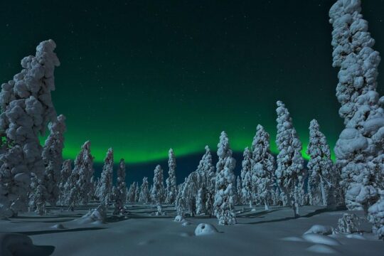Northern Lights Hunt from Rovaniemi with Folk Tales and Snacks over Campfire