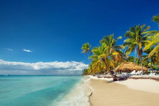 Full-Day Cruise to Saona Island - Natural pool and lunch