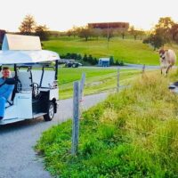 Private & Custom Tours