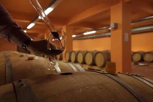 Exclusive Jeep Tour, South Crete, Winery, Donkeys, Secret Beach