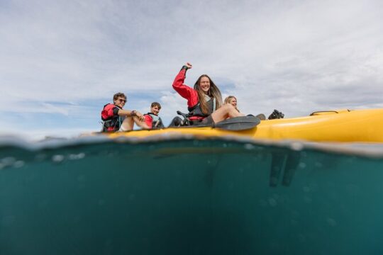 Seal Kayaking Adventure in Kaikoura