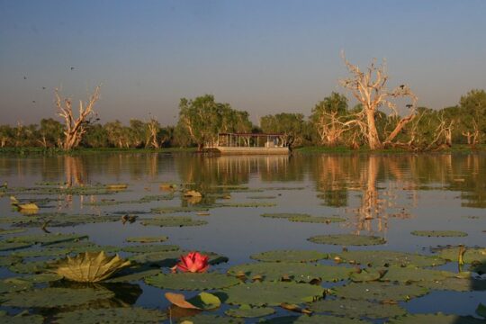 Corroboree Billabong Wetland Cruises - 2 hour Sunset Cruise