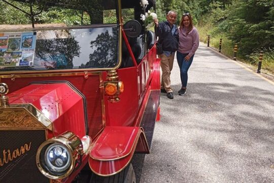 Private Vintage Tuktuk Pena Palace Tour