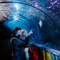 Sightseeing Tickets & Passes