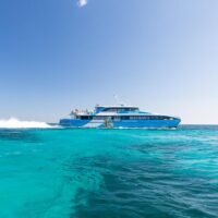 Day Cruises
