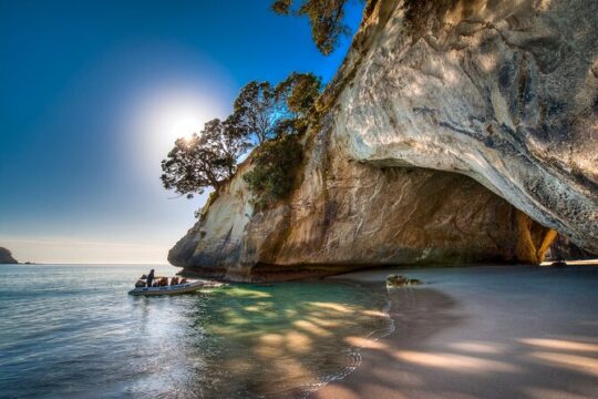 Cathedral Cove, Hot Water Beach & Coromandel Small-Group tour