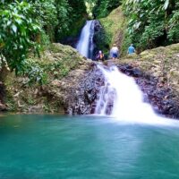 Shore Excursions