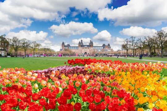 Private Tour of Van Gogh and Rijksmuseum from Amsterdam