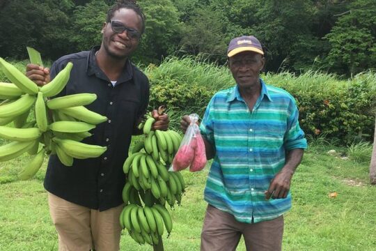 Jamaica Foodie and Cultural Experience in Ocho Rios