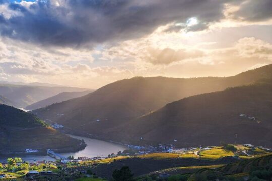 Private Tour Through the Douro Valley (wineries + boat)