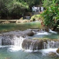 Private Sightseeing Tours