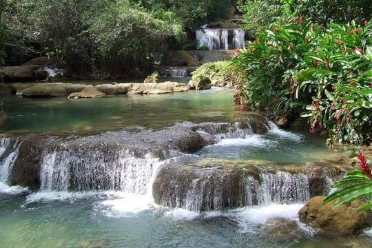 YS Falls and The Pelican Bar Adventure Tour from Kingston