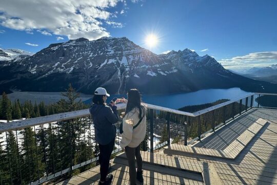 1 Day Tour Lake Louise, Moraine Lake, Emerald Lake and Peyto Lake