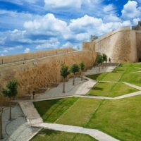 Cultural Tours