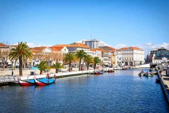 Private Tour Porto to Lisbon - Aveiro, Nazaré, Obidos