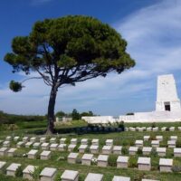 Cultural & Theme Tours
