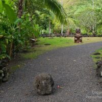 Archaeology Tours