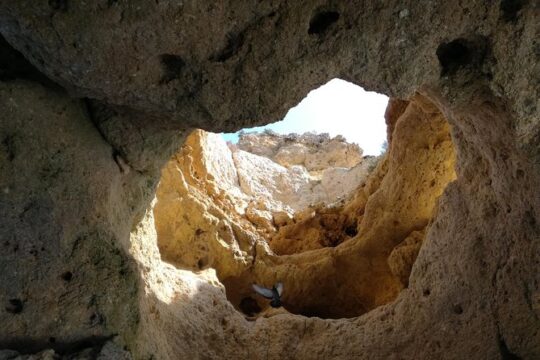 Algarve Private Tour from Lisbon