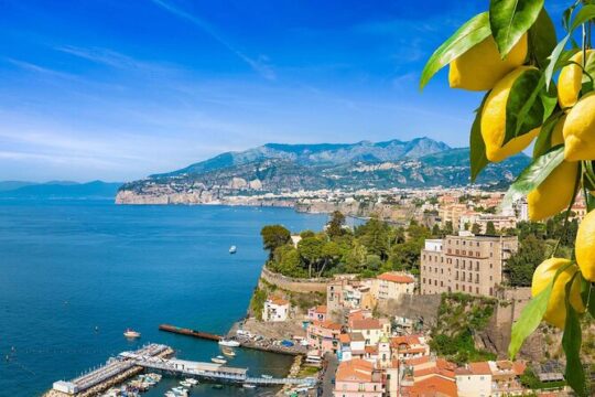 Pompeii w/Tickets Sorrento Limoncello Tasting - Private Tour