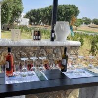 Cooking Classes
