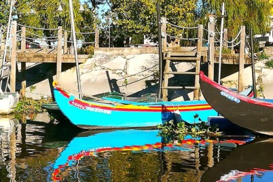 Ribatejo Private All Included fees and Lunch Day Tour With Birdwatching in EVOA