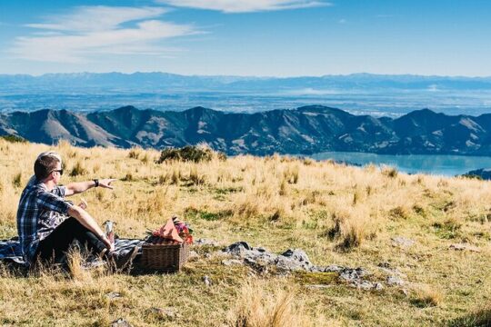 Christchurch Helicopter Picnic