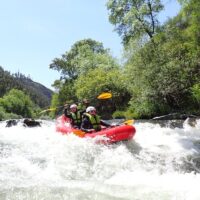 Kayaking & Canoeing