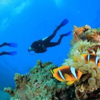 Scuba Diving