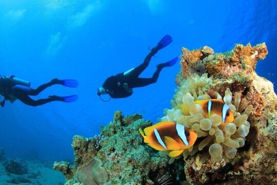 Antalya Scuba Diving With Lunch, Transfer
