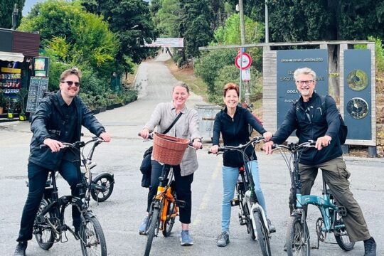 Buyukada E-bike Tour with Local Tour Guide
