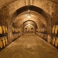 Food, Wine & Nightlife