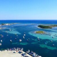 Catamaran Cruises