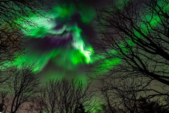 Golden Circle & Northern lights in Iceland