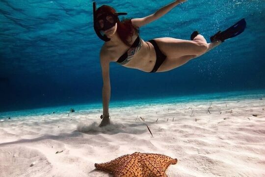 Cozumel Snorkel Experience! Round Transportation From Cancun & Riviera Maya