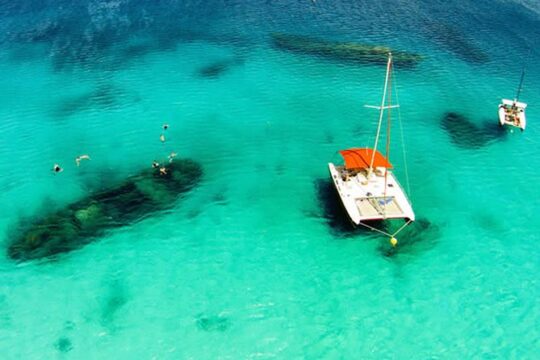 Barbados Catamaran Turtle Snorkel with Lunch and Open Bar