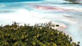 Awesome must do while in rangiroa