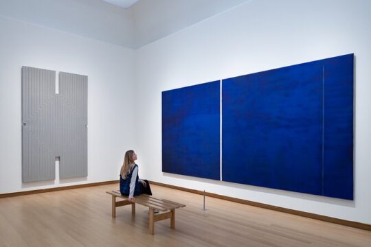 Stedelijk Museum Amsterdam Admission Ticket