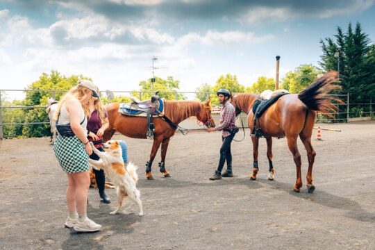Private horseback riding experience on Vesuvius and product tasting