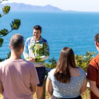 Tours & Sightseeing