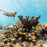 Snorkeling