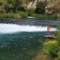 Shore Excursions