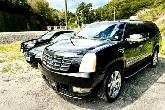 Private Luxury Round-Trip Transfer: Hewanorra International Airport