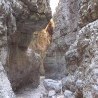 Eco Tours