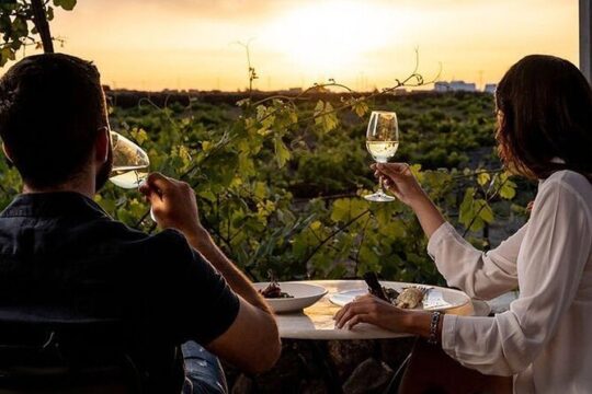 Santorini Private Wine Tasting Tour with Lunch